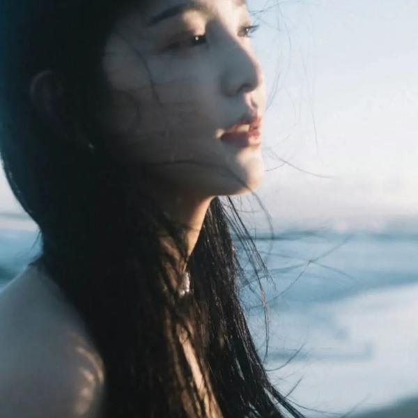 边防风暴 海报